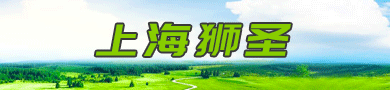 �Ϻ�ʨʥ��װ��е�豸���޹�˾
